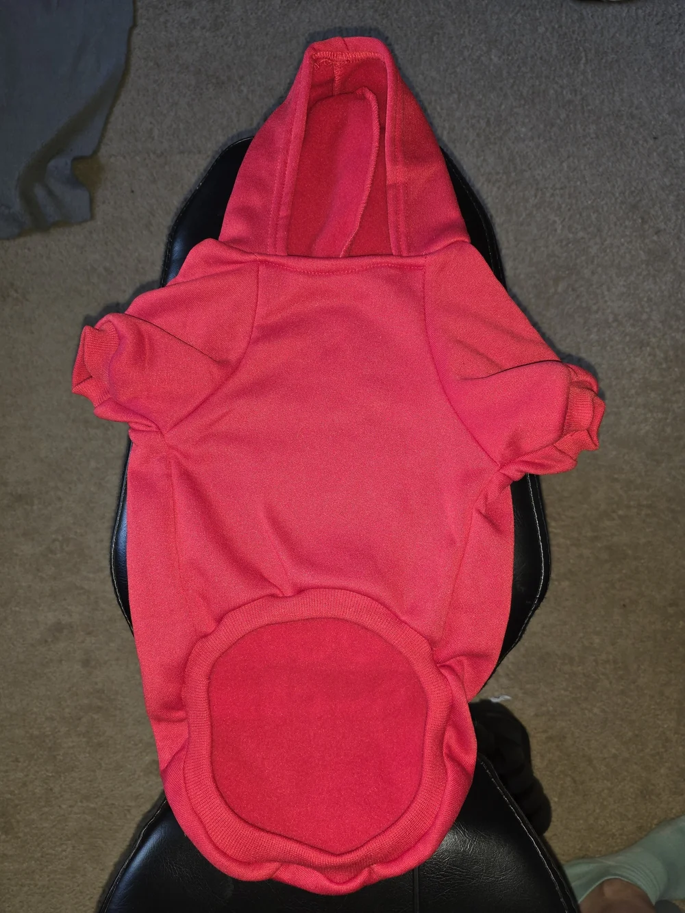 Hooded Dog Sweatshirt- NWOT 'THE DOG FACE'